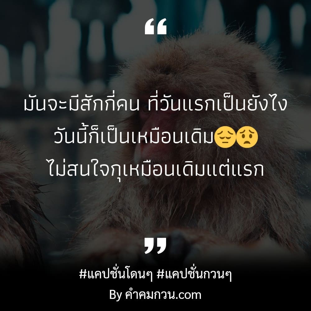 78 แคปชั่นน้อยใจแฟนแคปชั่นเหนื่อย 2022 เมื่อใจเธอไม่เหมือนเก่า.  จะเดินออกจากคำว่าเรา. เพื่อไปหาเขาก็ได้. ที่ตรงนี้ไม่ดีพอในสายตา.  ก็จากลากันไป. – แคปชั่นน้อยใจแฟน